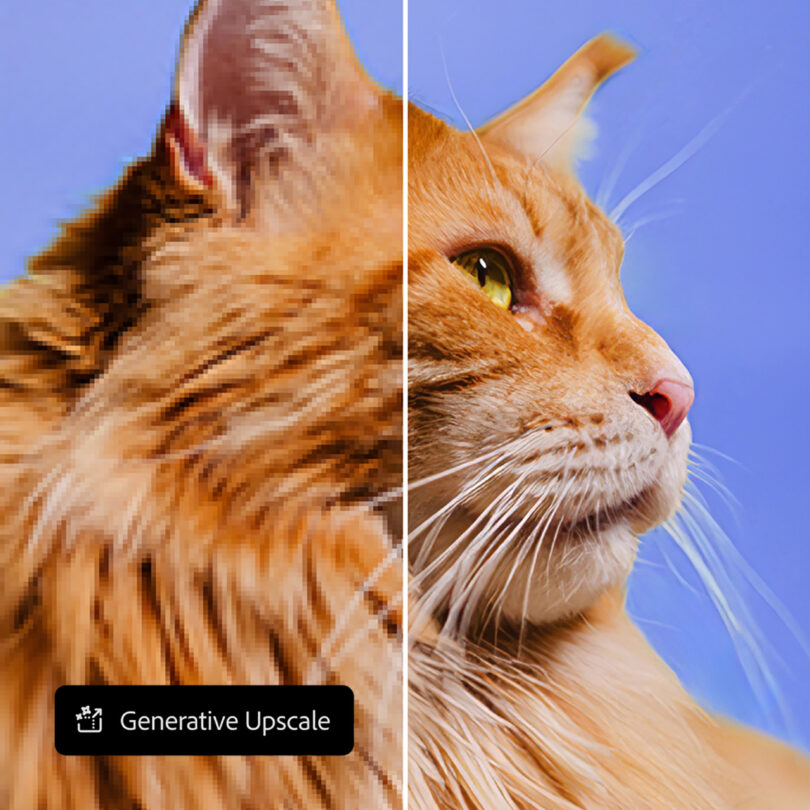 Side-by-side comparison of a cat’s face, showing a low-resolution image on the left and an enhanced, high-resolution version on the right with the label "Generative Upscale" as featured at Adobe MAX 2025.