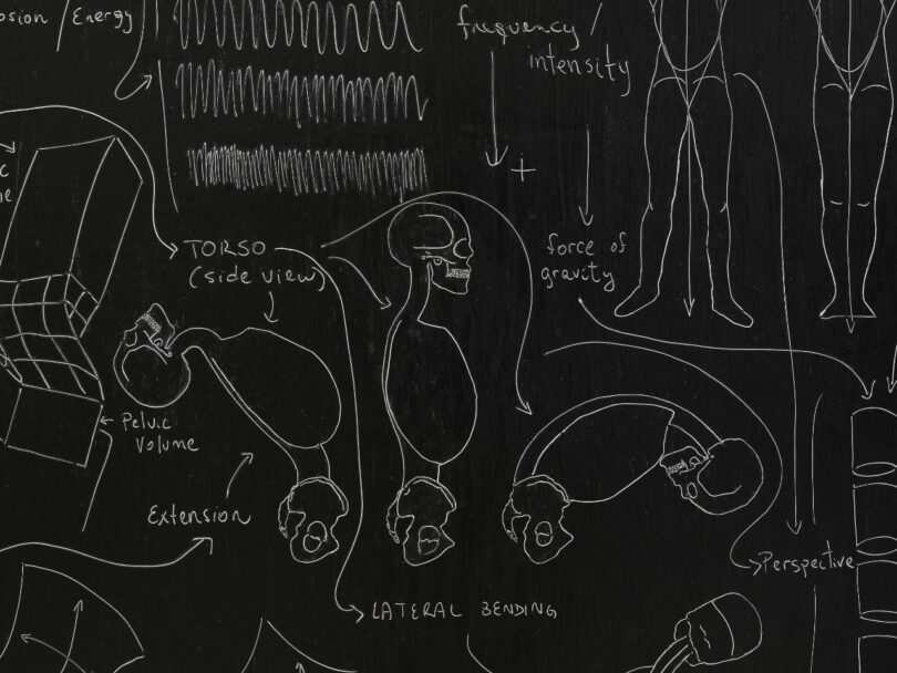anatomy diagrams within black painting