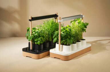 The Auk Mini is a Cork-Wrap Herb Garden Brought Indoors