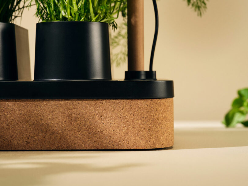 Close-up of black plant pots with green leafy plants, placed on a cork base with a beige background. A power cord is visible near the pots.