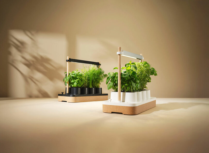 Two indoor herb garden kits with built-in LED grow lights, featuring assorted green herbs in black and white containers on a neutral background.