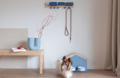 Biting Edge Brings Good Design to Our Four Legged Friends