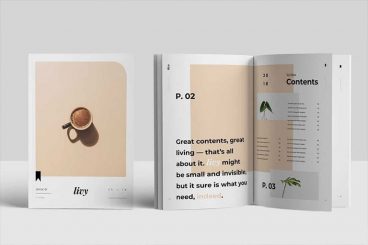 55+ Best InDesign Templates 2025 (For Brochures, Flyers, Books & More)