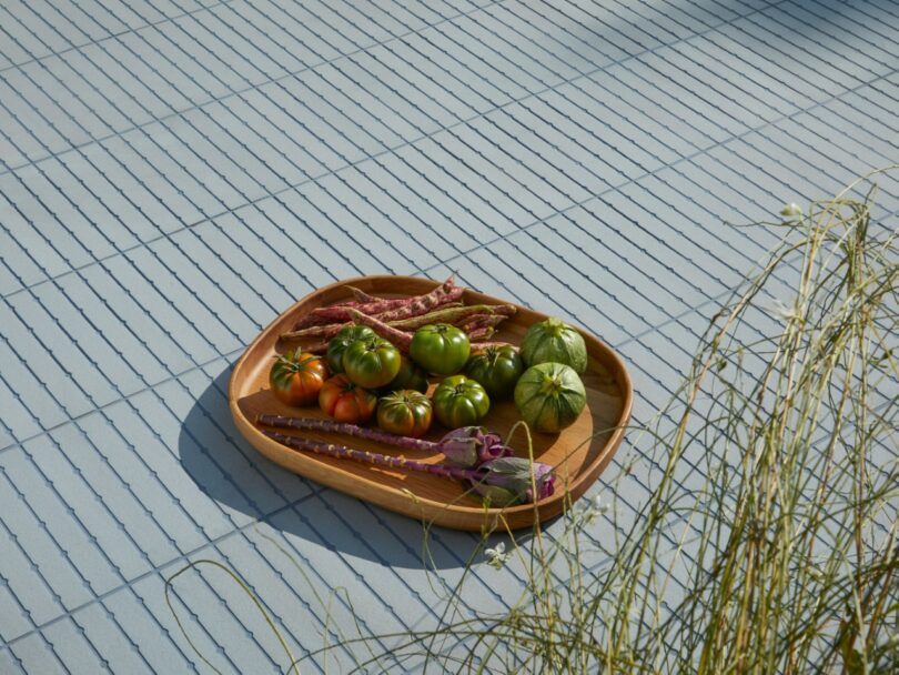 A wooden tray with green and orange striped tomatoes, green round squash, and purple and pink beans sits on a tiled surface next to some dried grass