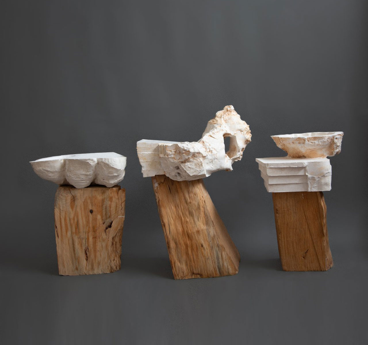 F5: Dana Harel Talks Cookbooks as Art, Food Breaks + More