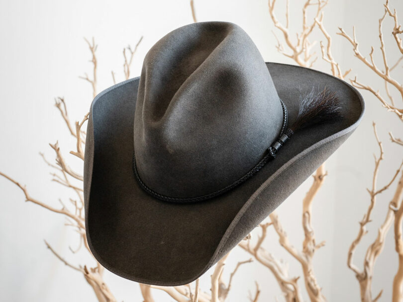 A black cowboy hat with a curved brim and a decorative band, resting on light-colored, leafless branches.