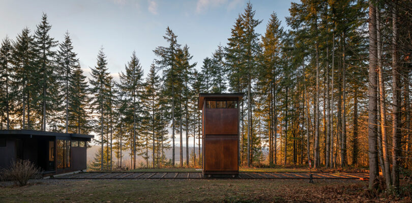 A modern cabin and a narrow, rust-colored tower stand among tall pine trees, with sunlight streaming through the forest.