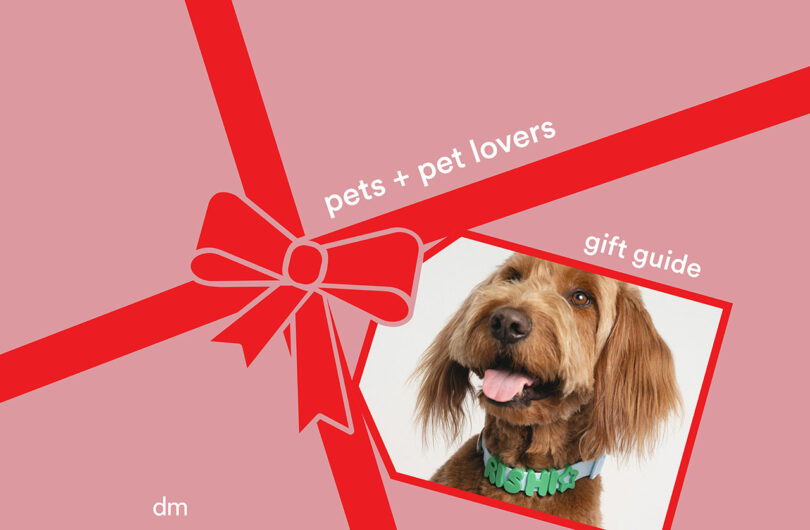 A pink background with a red ribbon graphic, featuring a photo of a brown dog and text reading "pets + pet lovers gift guides.