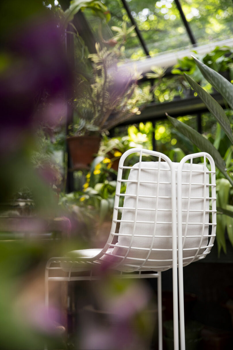 A modern white metal chair with a grid design sits in a greenhouse filled with green plants and natural light.