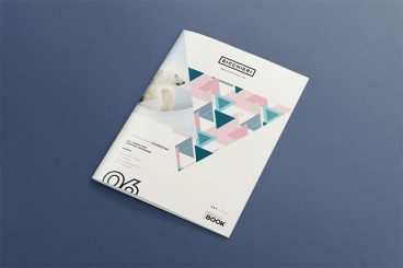 45+ Best InDesign Book Templates 2025