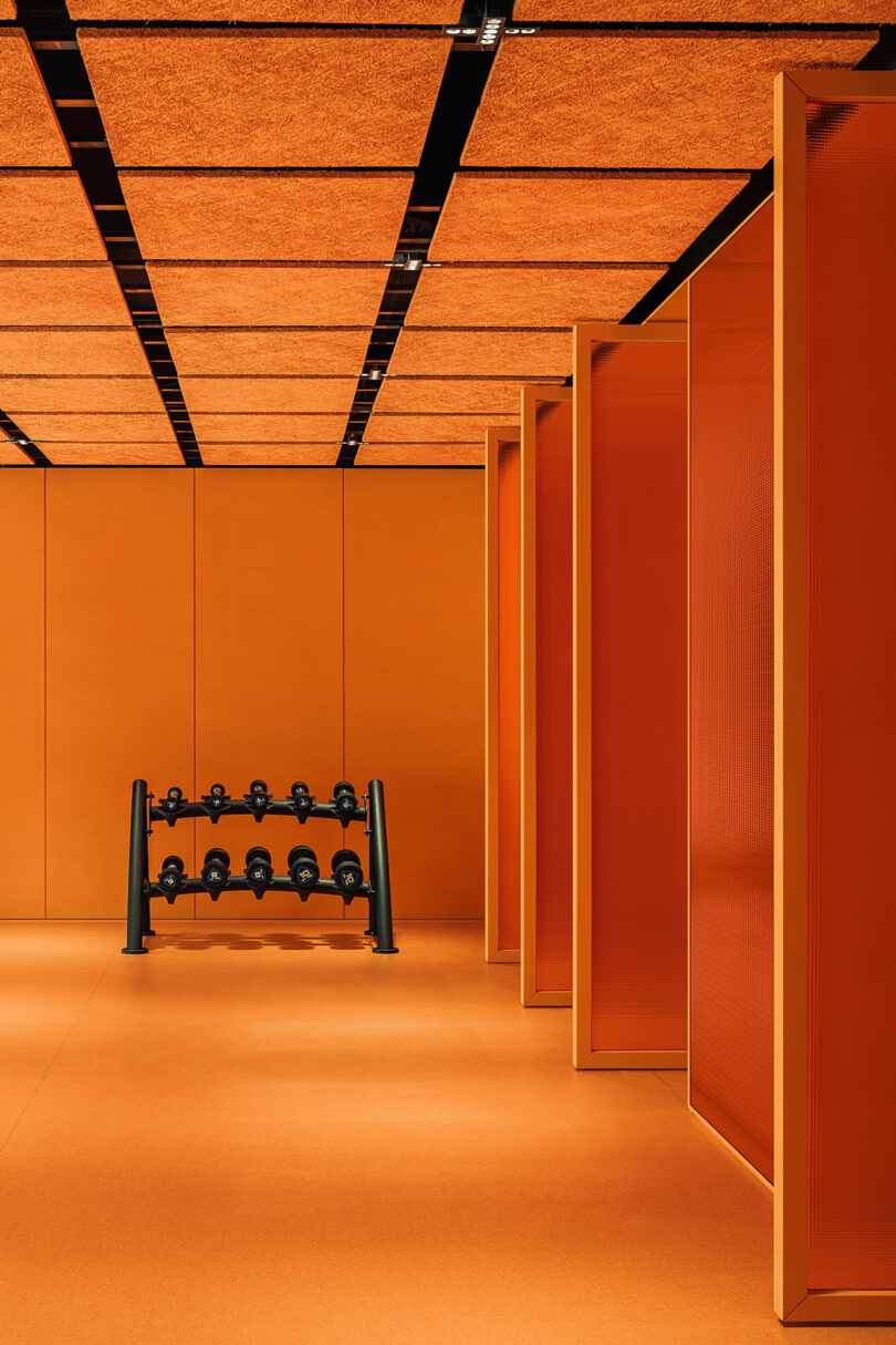 A set of dumbbells on a rack stands against an orange wall in a minimalist gym with orange walls, floor, and ceiling panels.