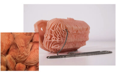 Take 5: Tokyo Toilets, Concrete Architecture, Hoop History + More