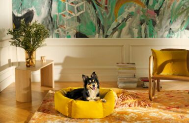 These Cozy Dog Beds Feature Fabrics Found in Iconic Museums