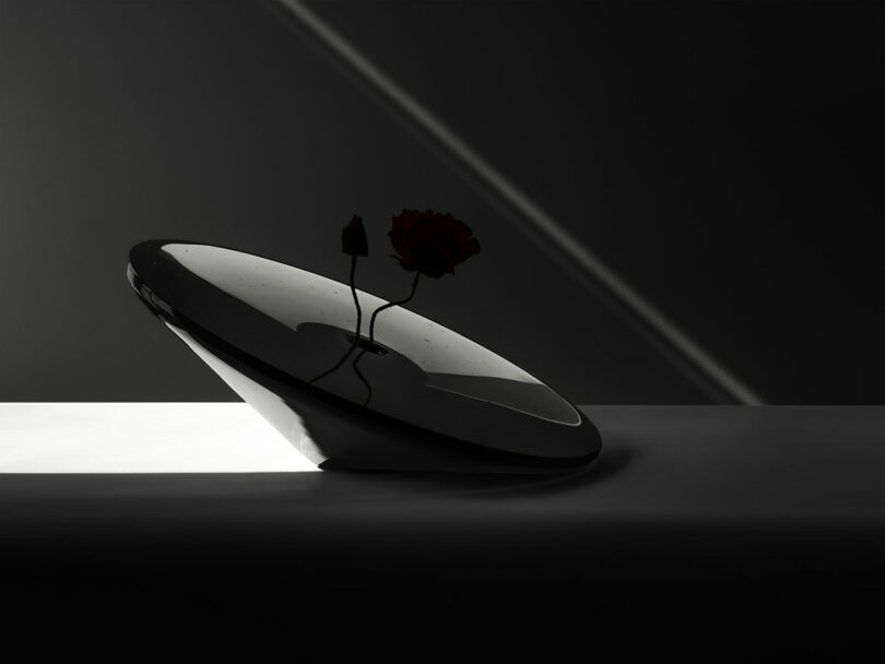A reflective, tilted dish by Claesson Koivisto Rune with two dark flowers sits on a white surface, set against a dark background with diagonal light.