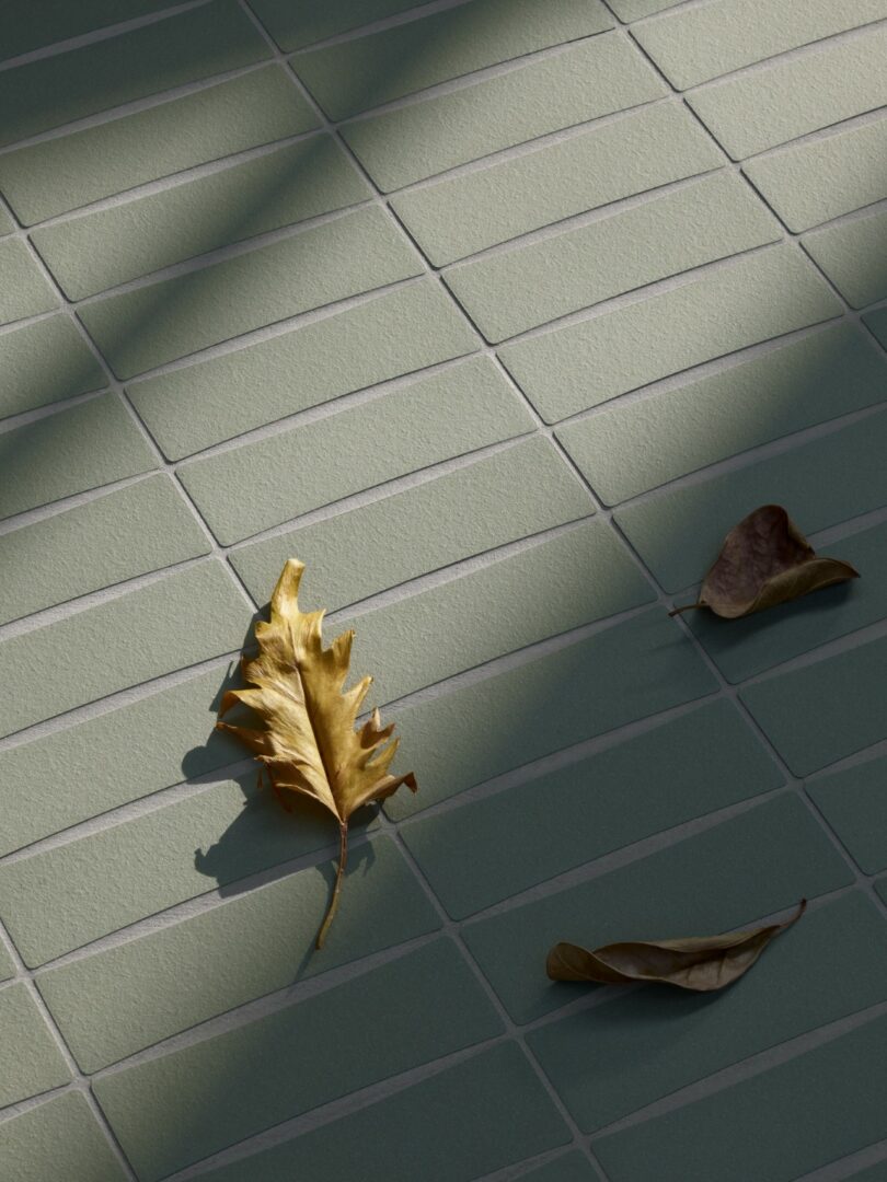 Three dried leaves rest on light green rectangular tiles, with diagonal shadows cast across the surface