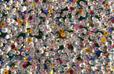 Reflecting Diverseness Turns Data Into Glistening Field of Flowers
