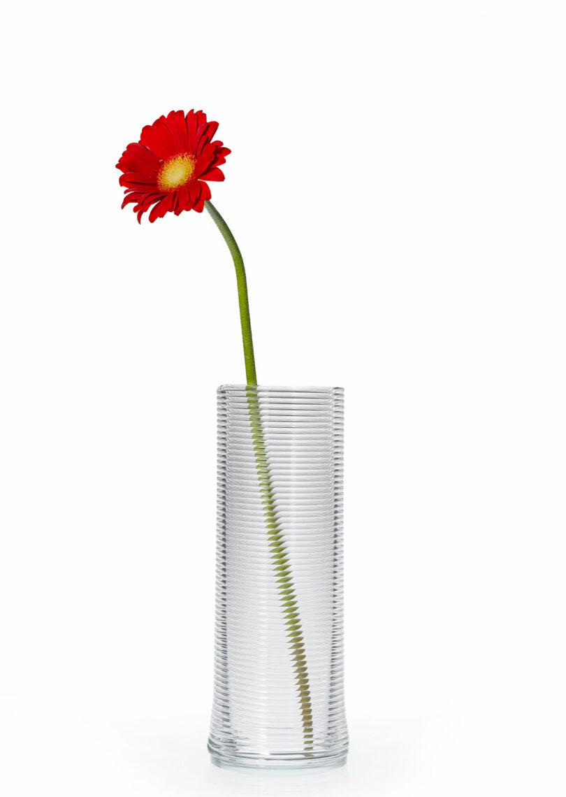 A single red gerbera daisy with a long green stem in a tall, clear, textured glass vase against a white background.