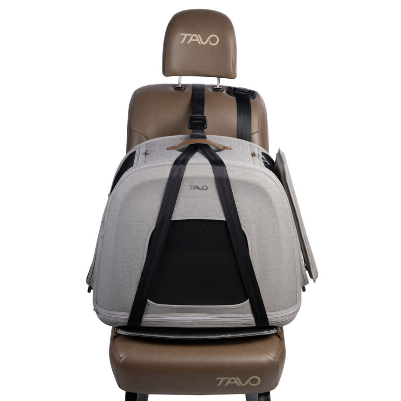 A gray pet carrier secured with straps to a car seat, labeled "Tavo