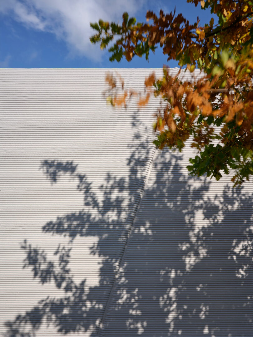 Shadow of a tree with autumn leaves is cast on a corrugated metal wall, with the tree partially visible in the upper right corner against a blue sky.