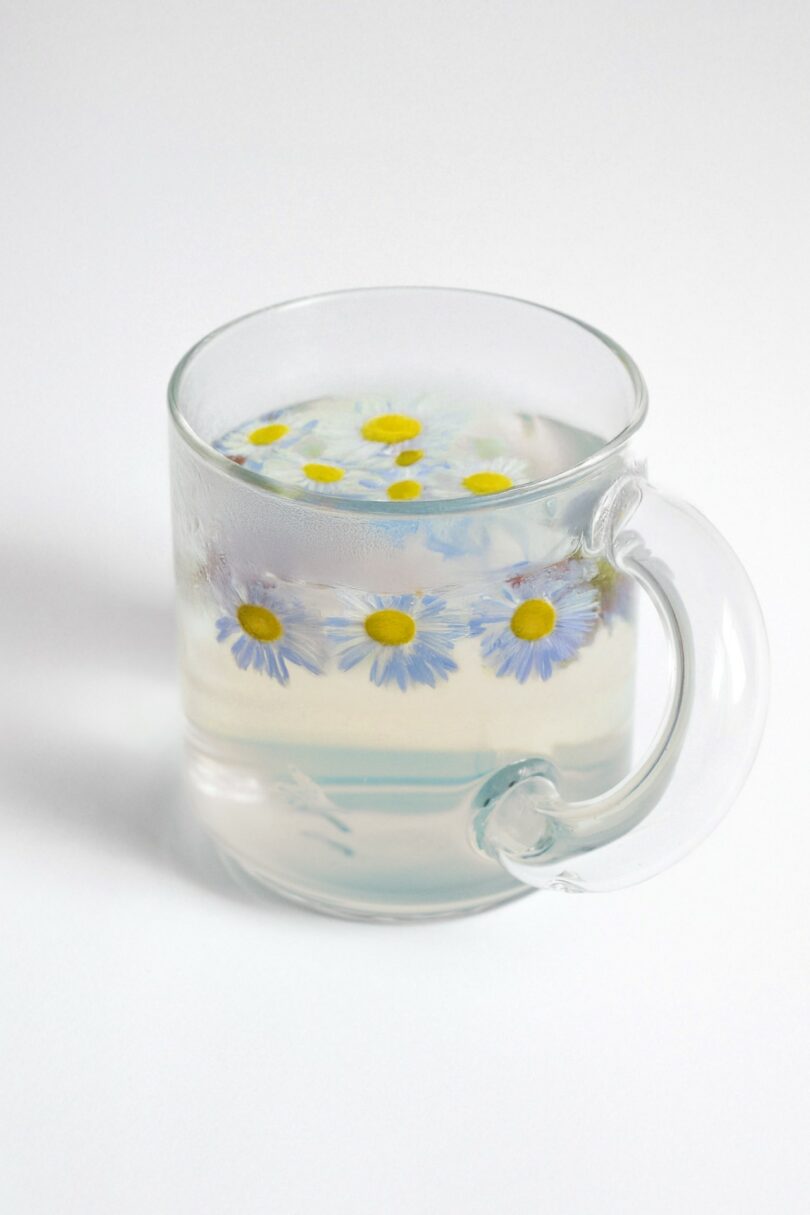 A clear glass cup filled with water and floating chamomile flowers, set against a plain white background